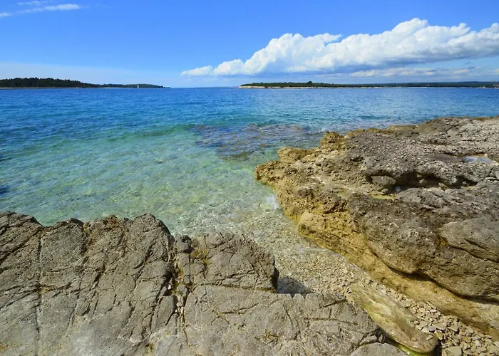 Astinian Puntizela Vila *