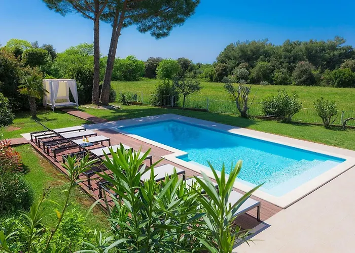 Astinian Puntizela Пула